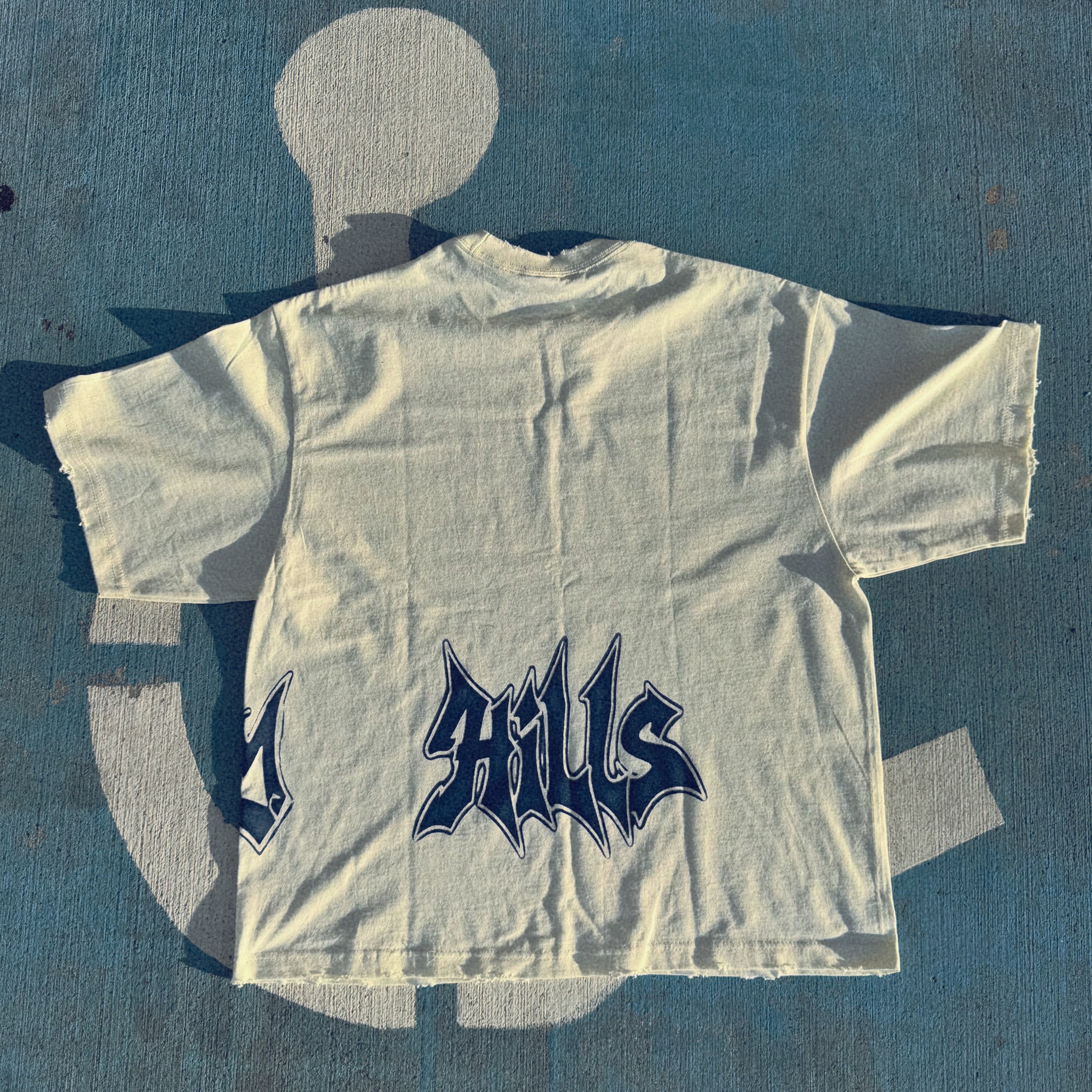 Sanctuary Hills "Error Blue"